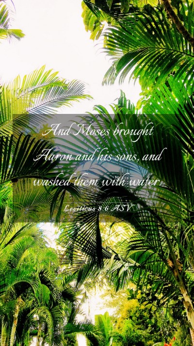 Picture 03 - Leviticus 8:6 ASV Mobile Phone Wallpaper - And Moses brought Aaron and his sons, and washed - Mobile Bible Verse Wallpaper
