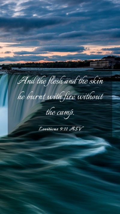 Picture 03 - Leviticus 9:11 ASV Mobile Phone Wallpaper - And the flesh and the skin he burnt with fire - Mobile Bible Verse Wallpaper