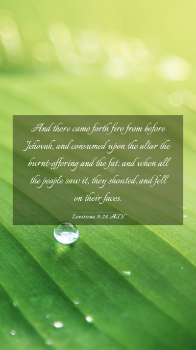 Picture 03 - Leviticus 9:24 ASV Mobile Phone Wallpaper - And there came forth fire from before Jehovah, - Mobile Bible Verse Wallpaper