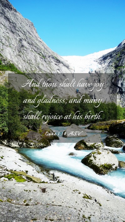 Picture 03 - Luke 1:14 ASV Mobile Phone Wallpaper - And thou shalt have joy and gladness; and many - Mobile Bible Verse Wallpaper
