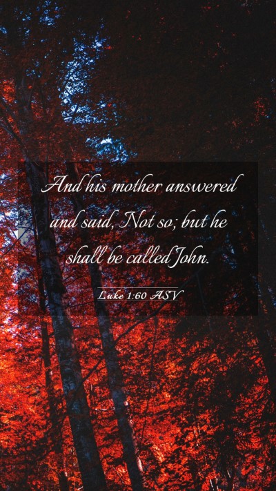 Picture 03 - Luke 1:60 ASV Mobile Phone Wallpaper - And his mother answered and said, Not so; but he - Mobile Bible Verse Wallpaper