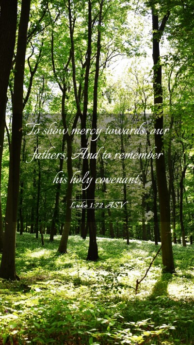 Picture 03 - Luke 1:72 ASV Mobile Phone Wallpaper - To show mercy towards, our fathers, And to - Mobile Bible Verse Wallpaper
