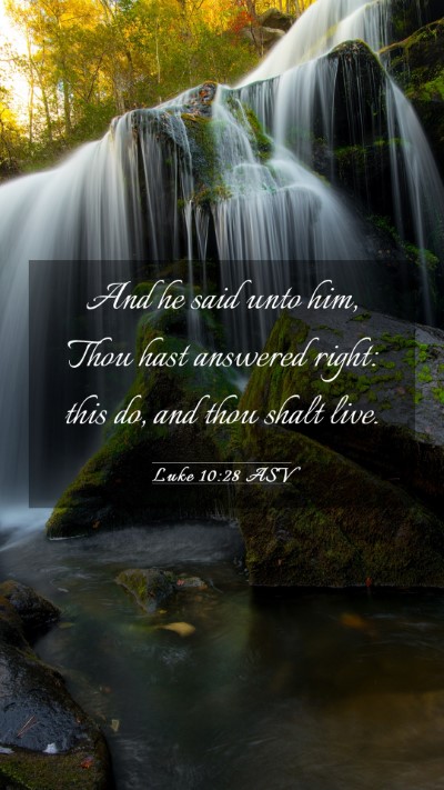 Picture 03 - Luke 10:28 ASV Mobile Phone Wallpaper - And he said unto him, Thou hast answered right: - Mobile Bible Verse Wallpaper