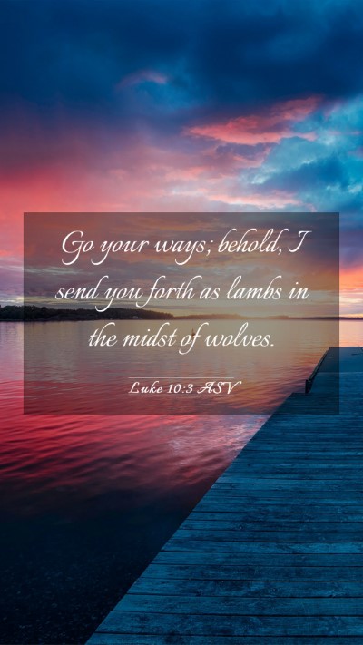 Picture 03 - Luke 10:3 ASV Mobile Phone Wallpaper - Go your ways; behold, I send you forth as lambs - Mobile Bible Verse Wallpaper