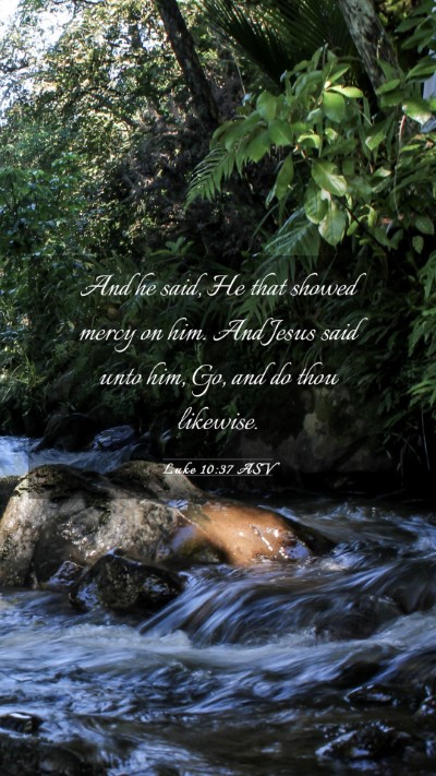 Picture 03 - Luke 10:37 ASV Mobile Phone Wallpaper - And he said, He that showed mercy on him. And - Mobile Bible Verse Wallpaper