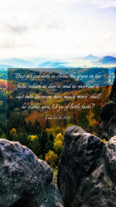 Picture 03 - Luke 12:28 ASV Mobile Phone Wallpaper - But if God doth so clothe the grass in the field, - Mobile Bible Verse Wallpaper