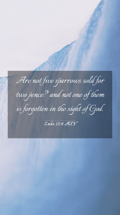 Picture 03 - Luke 12:6 ASV Mobile Phone Wallpaper - Are not five sparrows sold for two pence? and not - Mobile Bible Verse Wallpaper