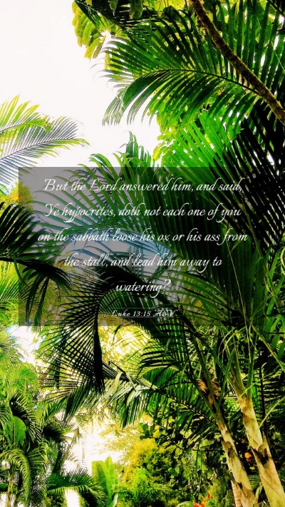 Picture 03 - Luke 13:15 ASV Mobile Phone Wallpaper - But the Lord answered him, and said, Ye - Mobile Bible Verse Wallpaper