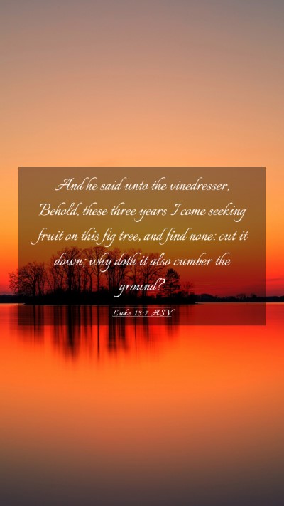 Picture 03 - Luke 13:7 ASV Mobile Phone Wallpaper - And he said unto the vinedresser, Behold, these - Mobile Bible Verse Wallpaper