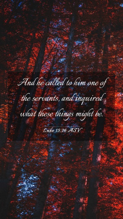Picture 03 - Luke 15:26 ASV Mobile Phone Wallpaper - And he called to him one of the servants, and - Mobile Bible Verse Wallpaper