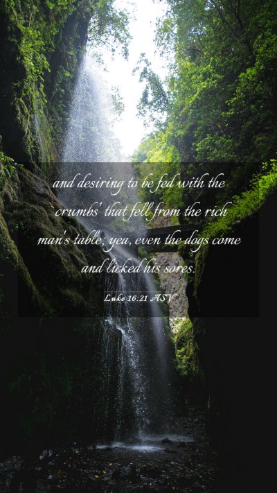 Picture 03 - Luke 16:21 ASV Mobile Phone Wallpaper - and desiring to be fed with the `crumbs' that - Mobile Bible Verse Wallpaper