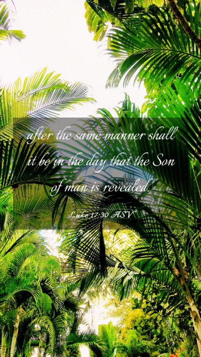 Picture 03 - Luke 17:30 ASV Mobile Phone Wallpaper - after the same manner shall it be in the day that - Mobile Bible Verse Wallpaper