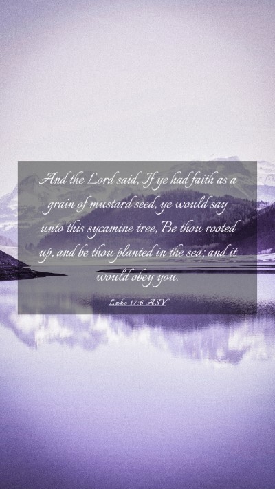 Picture 03 - Luke 17:6 ASV Mobile Phone Wallpaper - And the Lord said, If ye had faith as a grain of - Mobile Bible Verse Wallpaper