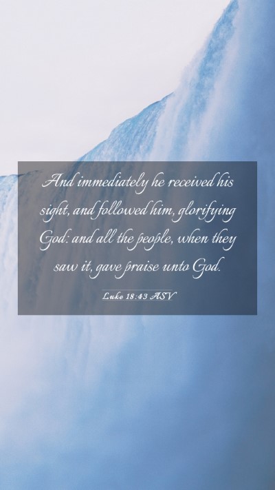 Picture 03 - Luke 18:43 ASV Mobile Phone Wallpaper - And immediately he received his sight, and - Mobile Bible Verse Wallpaper