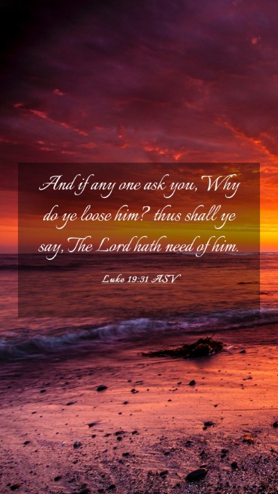 Picture 03 - Luke 19:31 ASV Mobile Phone Wallpaper - And if any one ask you, Why do ye loose him? thus - Mobile Bible Verse Wallpaper
