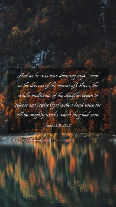 Picture 03 - Luke 19:37 ASV Mobile Phone Wallpaper - And as he was now drawing nigh, `even' at the - Mobile Bible Verse Wallpaper