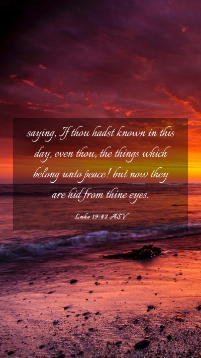 Picture 03 - Luke 19:42 ASV Mobile Phone Wallpaper - saying, If thou hadst known in this day, even - Mobile Bible Verse Wallpaper