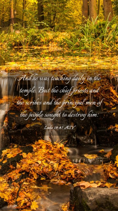 Picture 03 - Luke 19:47 ASV Mobile Phone Wallpaper - And he was teaching daily in the temple. But the - Mobile Bible Verse Wallpaper