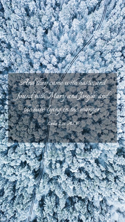 Picture 03 - Luke 2:16 ASV Mobile Phone Wallpaper - And they came with haste, and found both Mary and - Mobile Bible Verse Wallpaper
