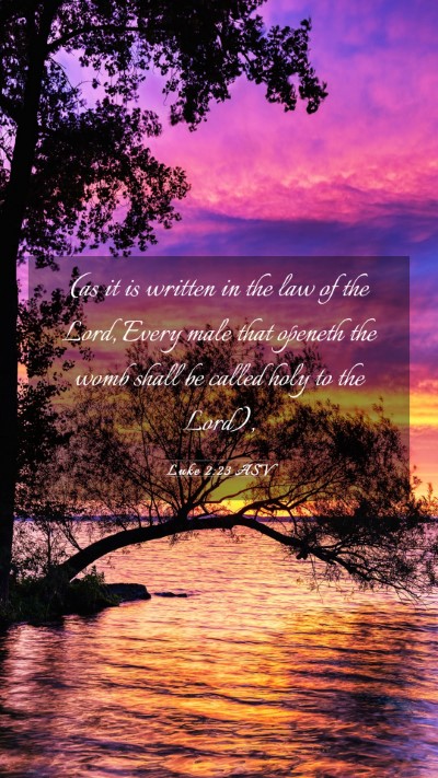 Picture 03 - Luke 2:23 ASV Mobile Phone Wallpaper - (as it is written in the law of the Lord, Every - Mobile Bible Verse Wallpaper