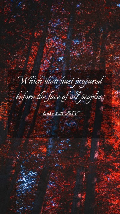 Picture 03 - Luke 2:31 ASV Mobile Phone Wallpaper - Which thou hast prepared before the face of all - Mobile Bible Verse Wallpaper