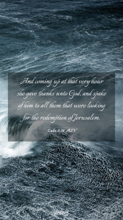 Picture 03 - Luke 2:38 ASV Mobile Phone Wallpaper - And coming up at that very hour she gave thanks - Mobile Bible Verse Wallpaper