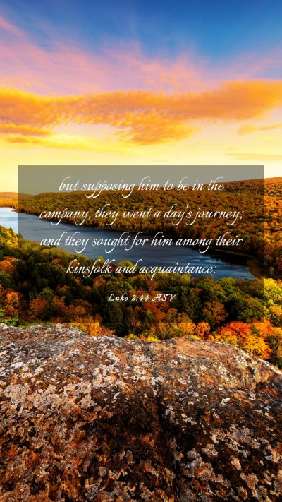 Picture 03 - Luke 2:44 ASV Mobile Phone Wallpaper - but supposing him to be in the company, they went - Mobile Bible Verse Wallpaper