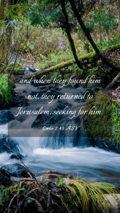 Picture 03 - Luke 2:45 ASV Mobile Phone Wallpaper - and when they found him not, they returned to - Mobile Bible Verse Wallpaper