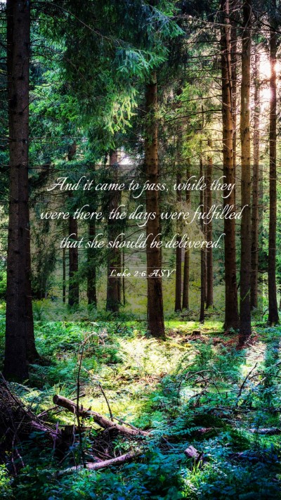 Picture 03 - Luke 2:6 ASV Mobile Phone Wallpaper - And it came to pass, while they were there, the - Mobile Bible Verse Wallpaper