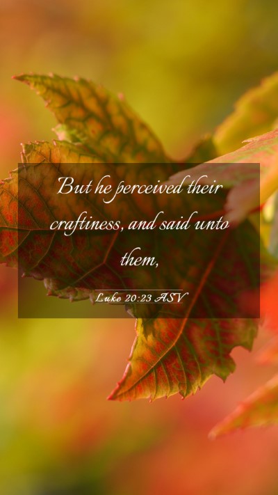 Picture 03 - Luke 20:23 ASV Mobile Phone Wallpaper - But he perceived their craftiness, and said unto - Mobile Bible Verse Wallpaper