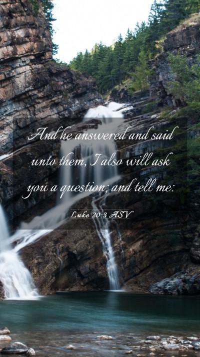 Picture 03 - Luke 20:3 ASV Mobile Phone Wallpaper - And he answered and said unto them, I also will - Mobile Bible Verse Wallpaper