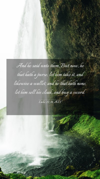 Picture 03 - Luke 22:36 ASV Mobile Phone Wallpaper - And he said unto them, But now, he that hath a - Mobile Bible Verse Wallpaper