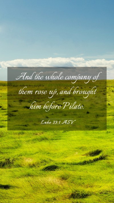Picture 03 - Luke 23:1 ASV Mobile Phone Wallpaper - And the whole company of them rose up, and - Mobile Bible Verse Wallpaper