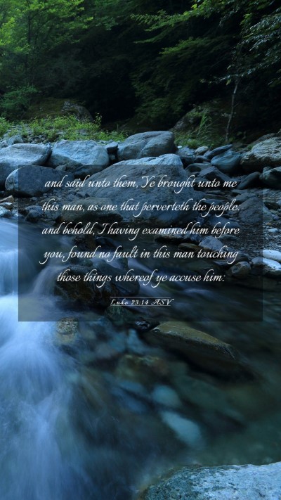 Picture 03 - Luke 23:14 ASV Mobile Phone Wallpaper - and said unto them, Ye brought unto me this man, - Mobile Bible Verse Wallpaper