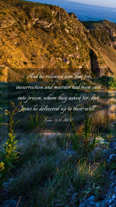 Picture 03 - Luke 23:25 ASV Mobile Phone Wallpaper - And he released him that for insurrection and - Mobile Bible Verse Wallpaper