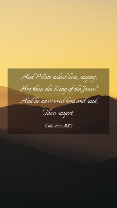 Picture 03 - Luke 23:3 ASV Mobile Phone Wallpaper - And Pilate asked him, saying, Art thou the King - Mobile Bible Verse Wallpaper