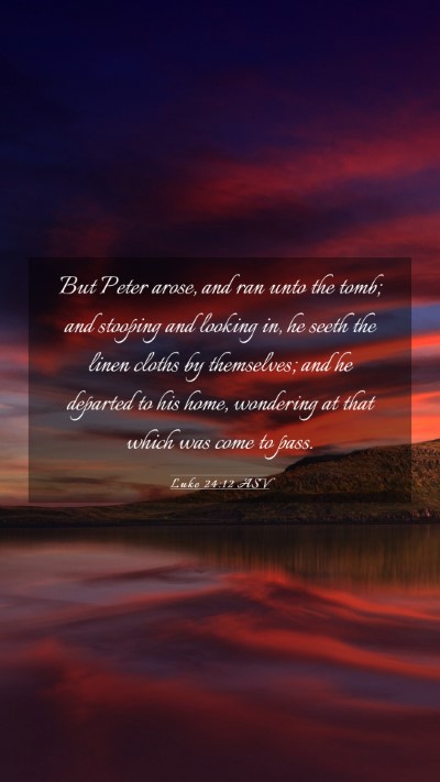 Picture 03 - Luke 24:12 ASV Mobile Phone Wallpaper - But Peter arose, and ran unto the tomb; and - Mobile Bible Verse Wallpaper