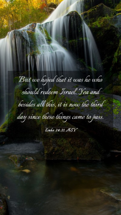 Picture 03 - Luke 24:21 ASV Mobile Phone Wallpaper - But we hoped that it was he who should redeem - Mobile Bible Verse Wallpaper
