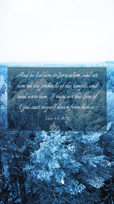 Picture 03 - Luke 4:9 ASV Mobile Phone Wallpaper - And he led him to Jerusalem, and set him on the - Mobile Bible Verse Wallpaper