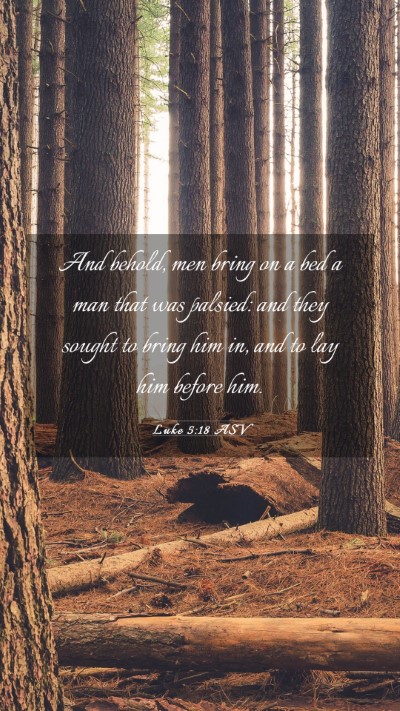 Picture 03 - Luke 5:18 ASV Mobile Phone Wallpaper - And behold, men bring on a bed a man that was - Mobile Bible Verse Wallpaper