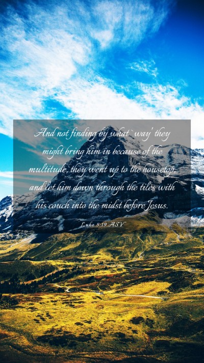 Picture 03 - Luke 5:19 ASV Mobile Phone Wallpaper - And not finding by what `way' they might bring - Mobile Bible Verse Wallpaper