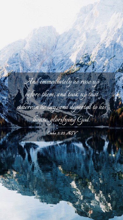 Picture 03 - Luke 5:25 ASV Mobile Phone Wallpaper - And immediately he rose up before them, and took - Mobile Bible Verse Wallpaper
