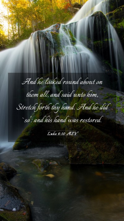 Picture 03 - Luke 6:10 ASV Mobile Phone Wallpaper - And he looked round about on them all, and said - Mobile Bible Verse Wallpaper