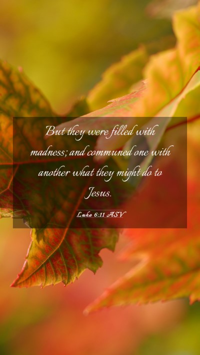 Picture 03 - Luke 6:11 ASV Mobile Phone Wallpaper - But they were filled with madness; and communed - Mobile Bible Verse Wallpaper