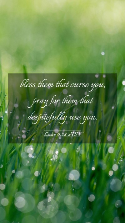 Picture 03 - Luke 6:28 ASV Mobile Phone Wallpaper - bless them that curse you, pray for them that - Mobile Bible Verse Wallpaper