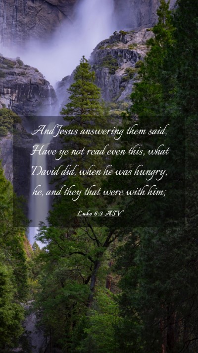 Picture 03 - Luke 6:3 ASV Mobile Phone Wallpaper - And Jesus answering them said, Have ye not read - Mobile Bible Verse Wallpaper