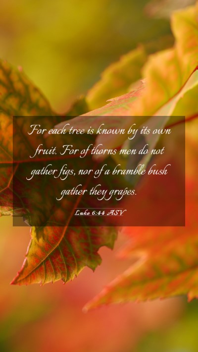Picture 03 - Luke 6:44 ASV Mobile Phone Wallpaper - For each tree is known by its own fruit. For of - Mobile Bible Verse Wallpaper