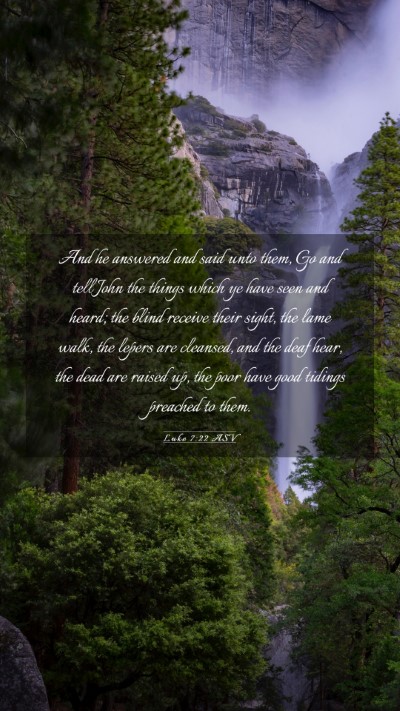 Picture 03 - Luke 7:22 ASV Mobile Phone Wallpaper - And he answered and said unto them, Go and tell - Mobile Bible Verse Wallpaper