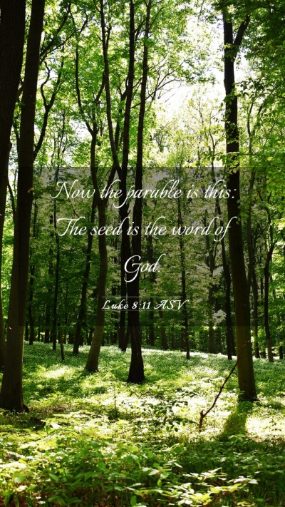 Picture 03 - Luke 8:11 ASV Mobile Phone Wallpaper - Now the parable is this: The seed is the word of - Mobile Bible Verse Wallpaper