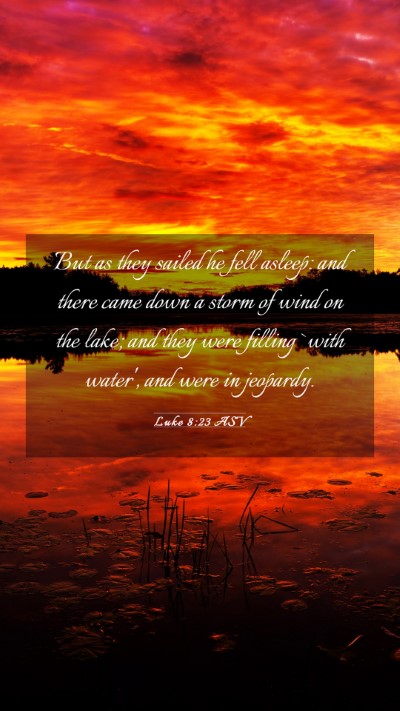 Picture 03 - Luke 8:23 ASV Mobile Phone Wallpaper - But as they sailed he fell asleep: and there came - Mobile Bible Verse Wallpaper